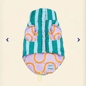 Striped Green and Purple Dog Jacket